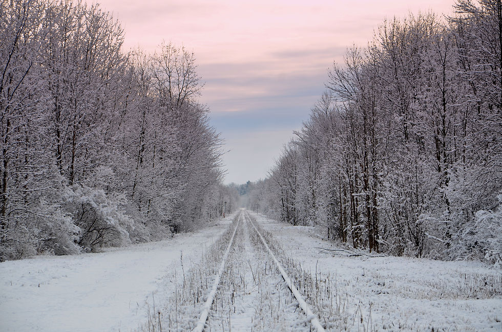 Shedding Light on Seasonal Affective Disorder (SAD): Understanding and Treating the Winter Blues in Michigan